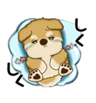 新・柴犬さん 2025 「夏です」（個別スタンプ：37）