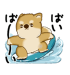 新・柴犬さん 2025 「夏です」（個別スタンプ：40）