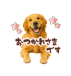 ゴールデンレトリバー☆日常会話・敬語（個別スタンプ：7）
