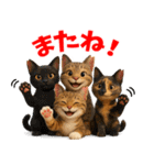 さくら耳（TNR）の桜っ子俱楽部 vol.1（個別スタンプ：10）