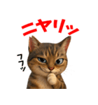 さくら耳（TNR）の桜っ子俱楽部 vol.1（個別スタンプ：21）