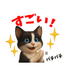 さくら耳（TNR）の桜っ子俱楽部 vol.1（個別スタンプ：36）