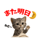 さくら耳（TNR）の桜っ子俱楽部 vol.1（個別スタンプ：38）