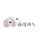 省スペースもふもふのお友達。凄い使える！（個別スタンプ：20）