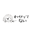 省スペースもふもふのお友達。凄い使える！（個別スタンプ：23）