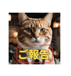ゆるっと猫のオシゴトスタンプ（個別スタンプ：1）