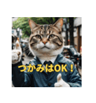 ゆるっと猫のオシゴトスタンプ（個別スタンプ：3）