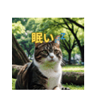 ゆるっと猫のオシゴトスタンプ（個別スタンプ：6）