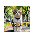 ゆるっと猫のオシゴトスタンプ（個別スタンプ：7）