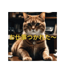 ゆるっと猫のオシゴトスタンプ（個別スタンプ：10）