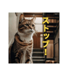 ゆるっと猫のオシゴトスタンプ（個別スタンプ：13）