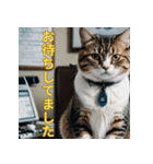 ゆるっと猫のオシゴトスタンプ（個別スタンプ：14）