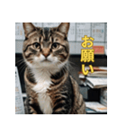 ゆるっと猫のオシゴトスタンプ（個別スタンプ：15）