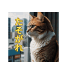 ゆるっと猫のオシゴトスタンプ（個別スタンプ：16）