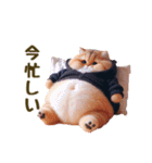 毎日使える★黒いパーカーのまんまる猫（個別スタンプ：7）