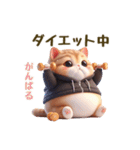 毎日使える★黒いパーカーのまんまる猫（個別スタンプ：11）