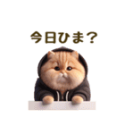 毎日使える★黒いパーカーのまんまる猫（個別スタンプ：16）