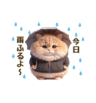 毎日使える★黒いパーカーのまんまる猫（個別スタンプ：21）