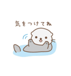ずっと使える！家族連絡用ラッコ（個別スタンプ：13）