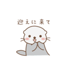 ずっと使える！家族連絡用ラッコ（個別スタンプ：16）