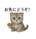 【癒し】スコティッシュホールド猫カフェ（個別スタンプ：10）