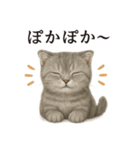 【癒し】スコティッシュホールド猫カフェ（個別スタンプ：11）