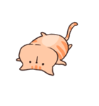 猫のトラくんとミケちゃん3【毎日使える】（個別スタンプ：10）