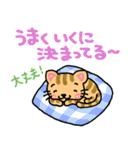 『茶トラ』心が楽になる、癒し系シリーズ（個別スタンプ：17）