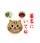 にゃん類、つるっと一言（個別スタンプ：7）