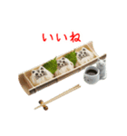 にゃん類、つるっと一言（個別スタンプ：8）