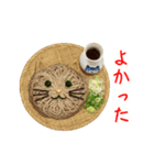 にゃん類、つるっと一言（個別スタンプ：21）