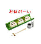 にゃん類、つるっと一言（個別スタンプ：22）
