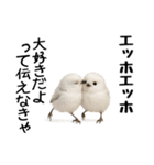 エッホエッホ！シマエナガです（個別スタンプ：3）