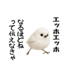 エッホエッホ！シマエナガです（個別スタンプ：5）