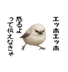 エッホエッホ！シマエナガです（個別スタンプ：7）