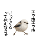 エッホエッホ！シマエナガです（個別スタンプ：9）
