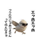 エッホエッホ！シマエナガです（個別スタンプ：14）