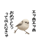 エッホエッホ！シマエナガです（個別スタンプ：18）