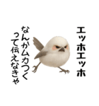 エッホエッホ！シマエナガです（個別スタンプ：19）
