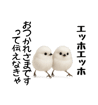 エッホエッホ！シマエナガです（個別スタンプ：20）