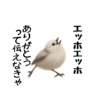 エッホエッホ！シマエナガです（個別スタンプ：26）
