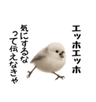 エッホエッホ！シマエナガです（個別スタンプ：28）