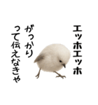 エッホエッホ！シマエナガです（個別スタンプ：29）