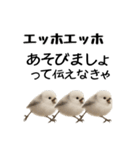 エッホエッホ！シマエナガです（個別スタンプ：31）
