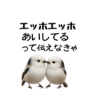 エッホエッホ！シマエナガです（個別スタンプ：36）