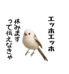 エッホエッホ！シマエナガです（個別スタンプ：37）