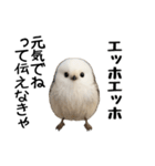 エッホエッホ！シマエナガです（個別スタンプ：38）