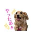大阪弁の犬（個別スタンプ：2）