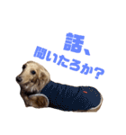 大阪弁の犬（個別スタンプ：20）