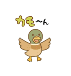 ダジャレ動物ズ（個別スタンプ：16）
